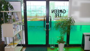 内観
